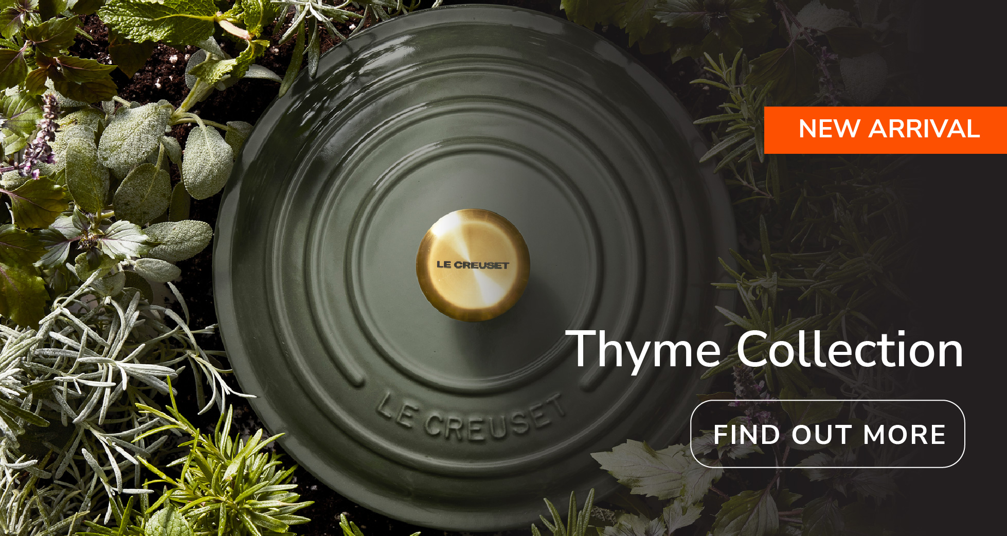 Thyme Collection